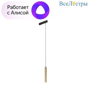 DK8008-BG