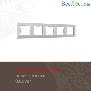 503.03-5.silver