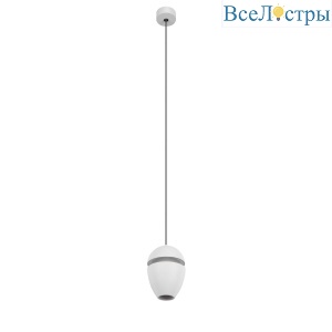 10336 White