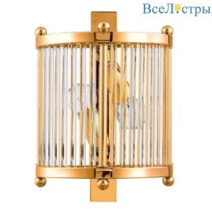 Tadeo AP2 Gold/Transparente