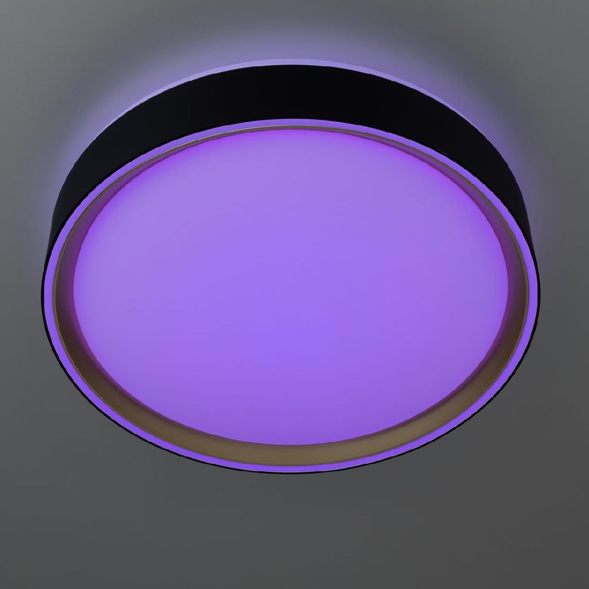 потолочный светильник citilux boss cl751251g