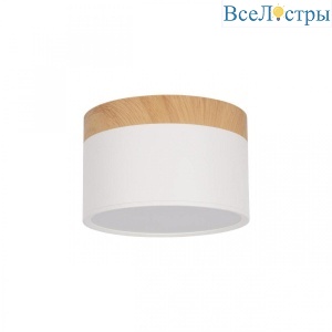 10162 White