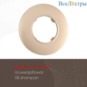502.08-1.shampan
