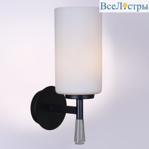 IL2218-1WLS-24 HIGHBALL