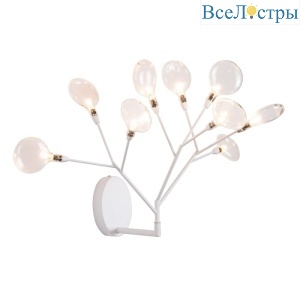 Evita AP9 White/Transparent