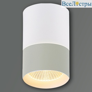 30410-9.5-001RT LED10W WT