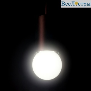 LAMP1-2W