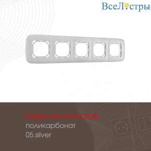 505.05-5.silver