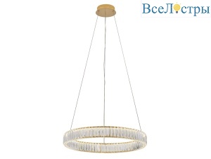 8242N/60 gold
