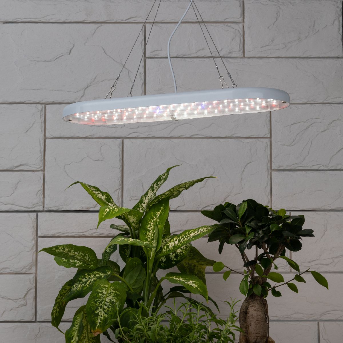 тросовый подвес эра fito-cabel-rope б0063889