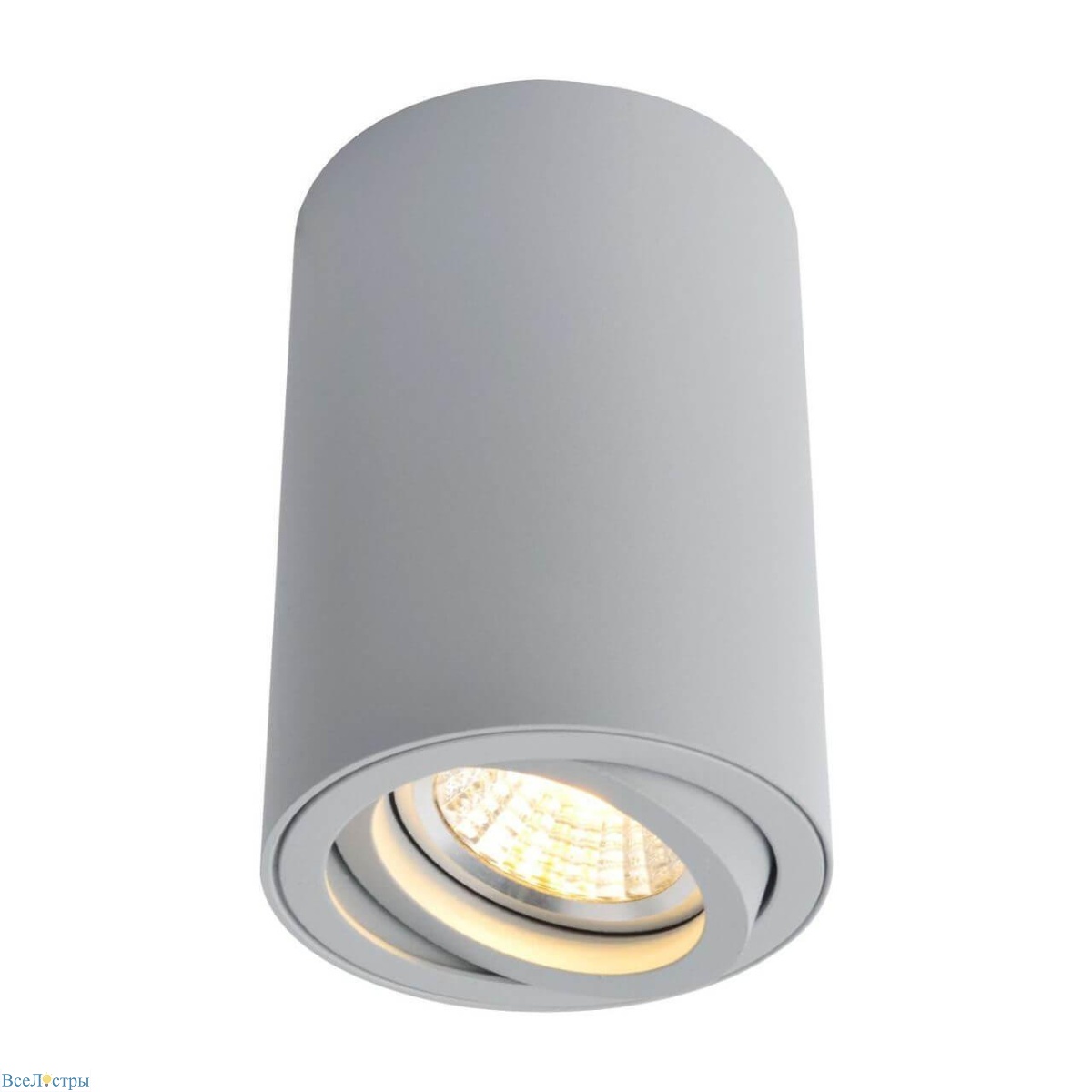 потолочный светильник arte lamp sentry a1560pl-1gy