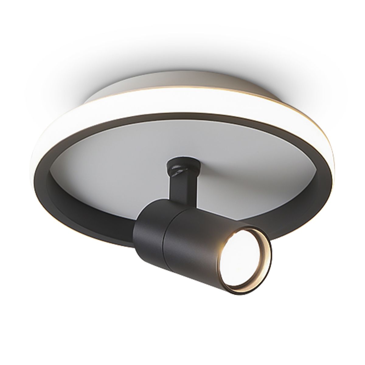 потолочный светильник freya neo fr6040cl-l14b