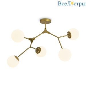 FR5497PL-05G