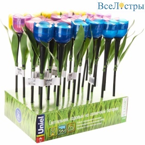 USL-C-651/PT305 Tulip Set 24