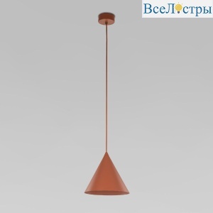 10076 Cono