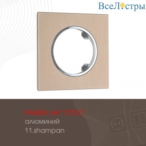 502.11-1.shampan