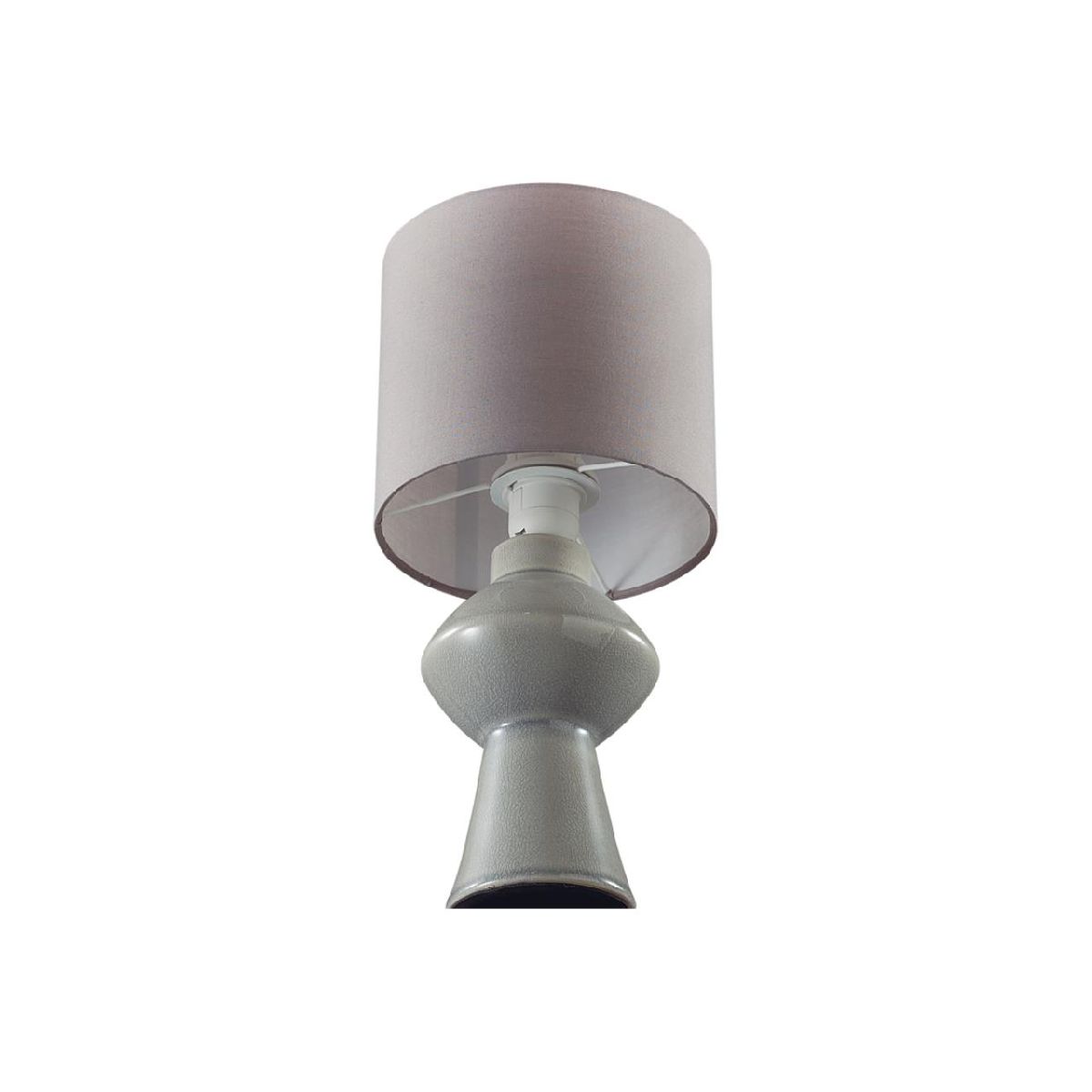 настольная лампа lumion moderni segi 8129/1t