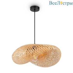 FR5243PL-01BR9