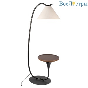 10568F Black