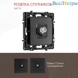 217.42-1.black