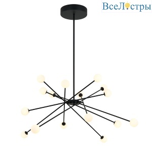 MD19001025-16A black