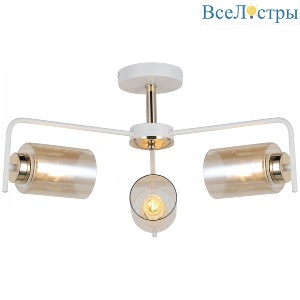 IL8248-3COU-79 WH GD