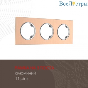 502.11-3.pink