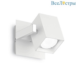 Mouse AP1 Bianco