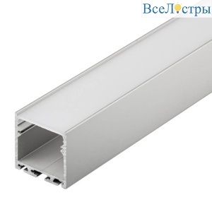 019306