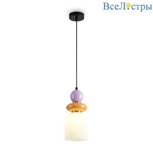 FR5595PL-01B1
