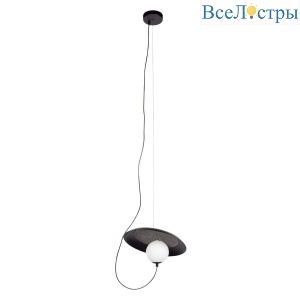 10237P Black
