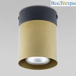 6508 Vico Black Gold
