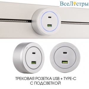 399731TS/USB-Type-C Silver