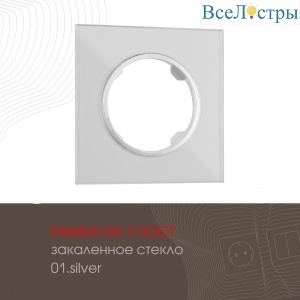 502.01-1.silver