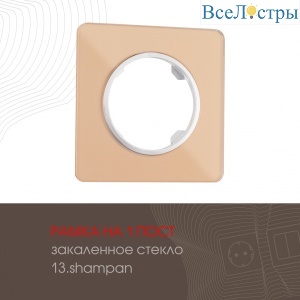 502.13-1.shampan