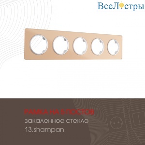 502.13-5.shampan
