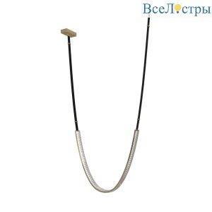 MD24083001-1G black/gold