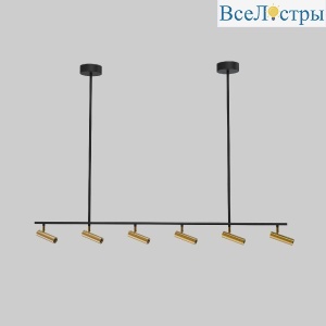 20252/6 LED черный/латунь