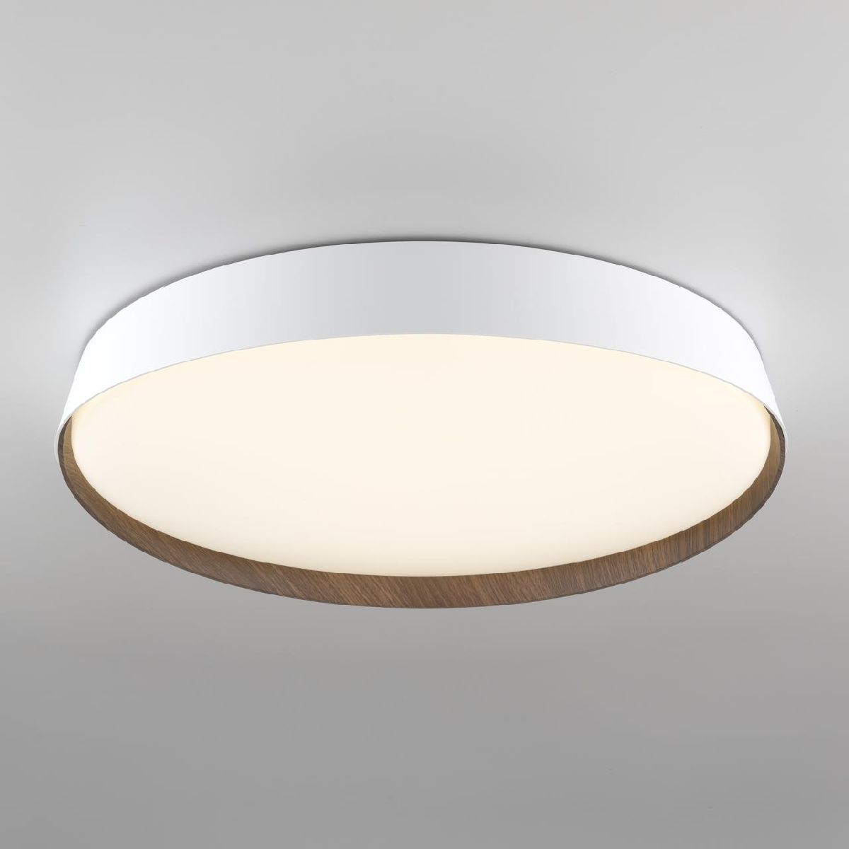 потолочный светильник citilux bonny cl754450g