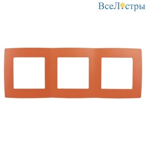 Б0019405