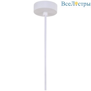 WE810.PB.000