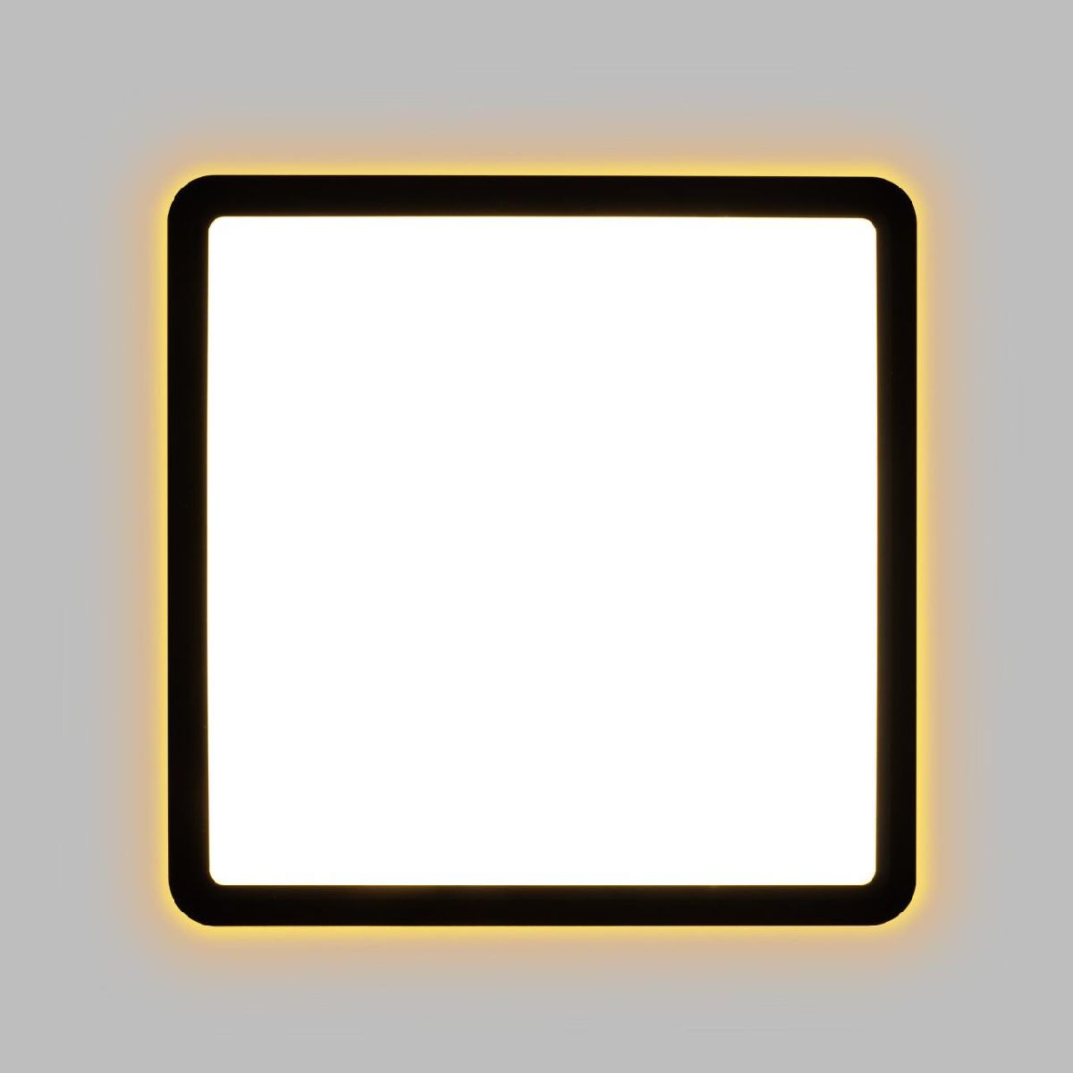 настенно-потолочный светильник citilux norma cl748k201