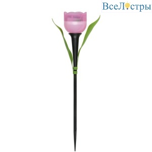 USL-C-451/PT305 Pink Tulip