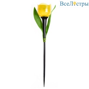 USL-C-452/PT305 Yellow Tulip