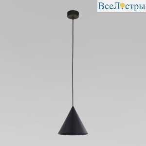 10058 Cono