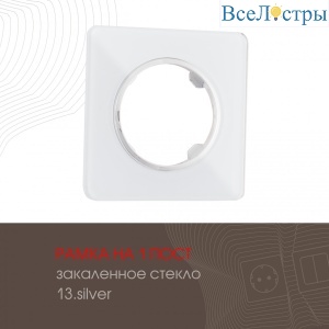 502.13-1.silver