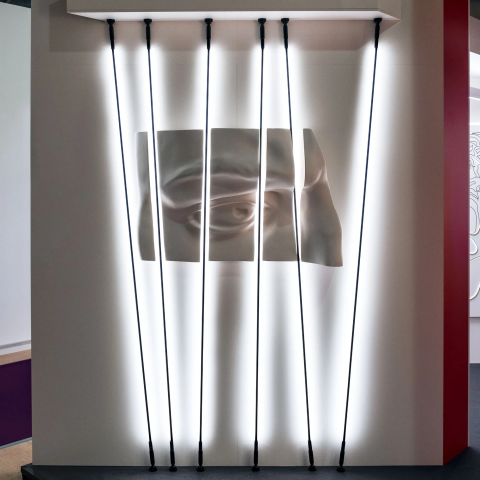 Stingray Arlight