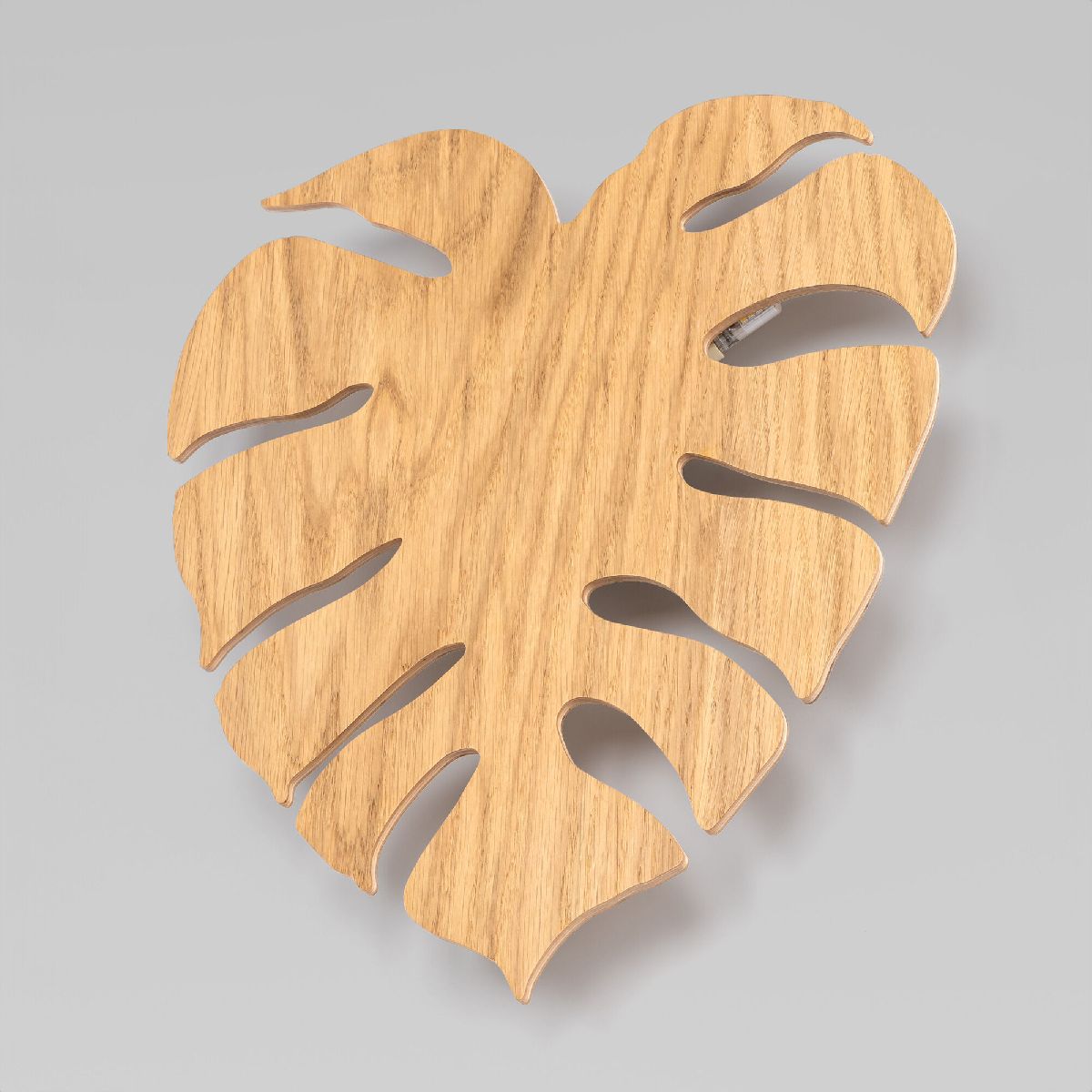 настенный светильник tk lighting 5422 monstera a068399