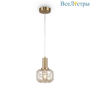 FR5366PL-01BS