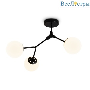 FR5497PL-03B